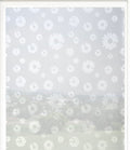 Navaris Privacy Film for Glass Windows - Frosted Window Film - Opaque Self Adhesive Covering - No Adhesives for Easy Application and Removal - Floral Print 2 - Retail $8.45